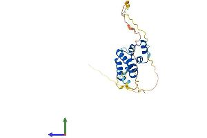 AlphaFold protein structure predicition of Human Recombinant EDARADD Protein, UniprotID Q8WWZ3