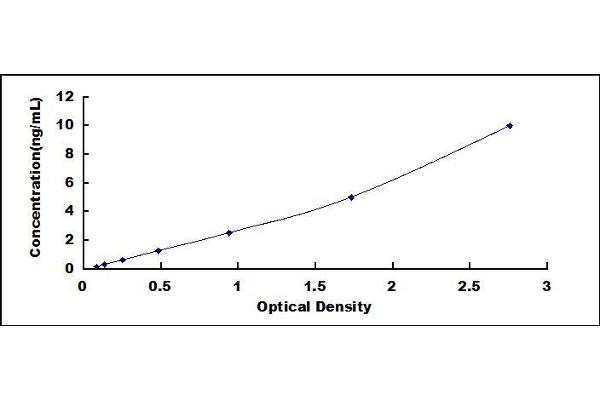 IDS ELISA Kit