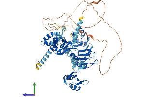 AlphaFold protein structure predicition of Human Recombinant PABPC3 Protein, UniprotID Q9H361 (PABPC3 Protein (AA 1-631) (His tag))
