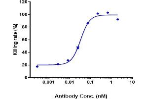 Anti-TREM1 Reference Antibody (PY159) Activation was evaluated using PBMC. (Recombinant TREM1 antibody)