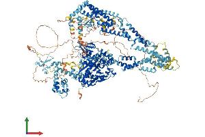 AlphaFold protein structure predicition of Mouse Recombinant Kdm5c Protein, UniprotID P41230 (KDM5C Protein (AA 1-1554) (His tag))
