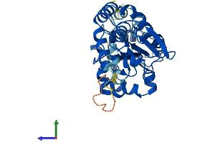 AlphaFold protein structure predicition of Mouse Recombinant Dusp2 Protein, UniprotID Q05922 (DUSP2 Protein (AA 1-318) (His tag))