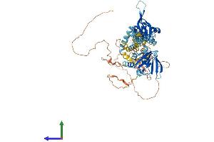 AlphaFold protein structure predicition of Mouse Recombinant Cnnm3 Protein, UniprotID Q32NY4