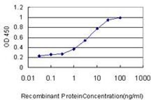 Detection limit for recombinant GST tagged GNG3 is approximately 1ng/ml as a capture antibody. (GNG3 antibody  (AA 1-75))