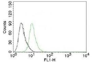 FACS testing of Jurkat cells and Alexa Fluor 488-labeled p27Kip1 antibody. (CDKN1B antibody)