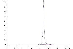 The purity of Mouse AGER is greater than 95 % as determined by SEC-HPLC.