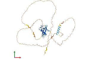 Protein Structure (PS) image for Gametogenetin Binding Protein 1 (GGNBP1) (AA 1-370) protein (His tag) (ABIN7557940)