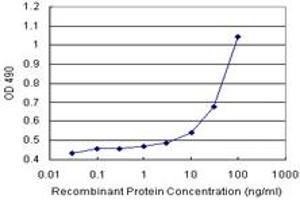 Sandwich ELISA detection sensitivity ranging from 10 ng/mL to 100 ng/mL. (COMT (Human) Matched Antibody Pair)