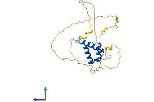 AlphaFold protein structure predicition of Human Recombinant HOXB9 Protein, UniprotID P17482 (HOXB9 Protein (AA 1-250) (His tag))