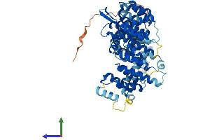 AlphaFold protein structure predicition of Human Recombinant NELFCD Protein, UniprotID Q8IXH7 (TH1-Like Protein (TH1L) (AA 1-590) (His tag))