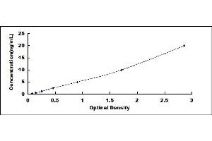 Typical standard curve (OXCT1 ELISA Kit)