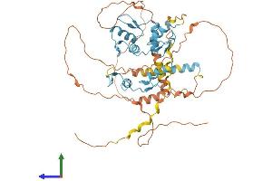 AlphaFold protein structure predicition of Human Recombinant FEZF1 Protein, UniprotID A0PJY2