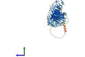 AlphaFold protein structure predicition of Human Recombinant LRRC8C Protein, UniprotID Q8TDW0