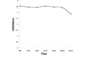 Antigen: 0. (NDUFA13 antibody  (AA 51-144))
