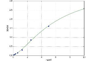 Contactin 4 (CNTN4) ELISA Kit