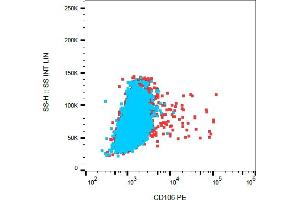 Flow cytometry analysis (surface staining) of TNF alpha-stimulated HUVEC cells with anti-CD106 (STA) PE.