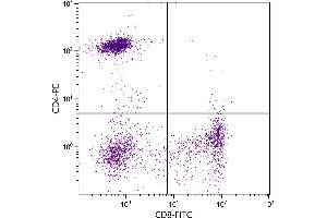 Human peripheral blood lymphocytes were stained with Mouse Anti-Human CD8-FITC. (CD8 antibody  (FITC))