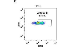 Flow Cytometry (FACS) image for anti-CD86 (CD86) (AA 26-247) antibody (ABIN7272736) (CD86 antibody  (AA 26-247))