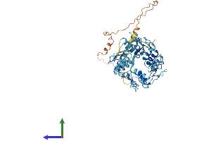 Protein Structure (PS) image for Zinc Finger Protein 331 (ZNF331) (AA 1-463) protein (His tag) (ABIN7545316)
