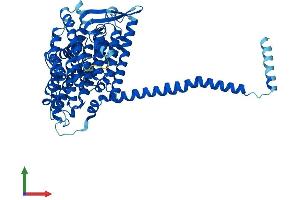 AlphaFold protein structure predicition of Human Recombinant MT-ND5 Protein, UniprotID P03915 (MT-ND5 Protein (AA 1-603) (His tag))