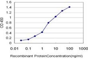 Detection limit for recombinant GST tagged CRYBB1 is approximately 0. (CRYBB1 antibody  (AA 1-252))