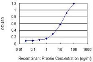 Detection limit for recombinant GST tagged STUB1 is 0. (STUB1 antibody  (AA 204-303))