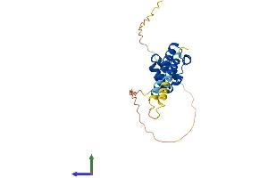AlphaFold protein structure predicition of Human Recombinant SAMD12 Protein, UniprotID Q8N8I0