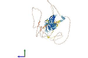 AlphaFold protein structure predicition of Mouse Recombinant Dgcr8 Protein, UniprotID Q9EQM6