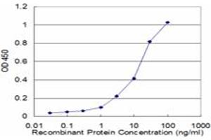 ELISA image for anti-Protein Kinase, AMP-Activated, beta 1 Non-Catalytic Subunit (PRKAB1) (AA 1-270) antibody (ABIN562362)