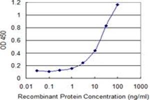 Detection limit for recombinant GST tagged PARP3 is 0. (PARP3 antibody  (AA 1-533))