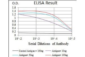 Image no. 3 for anti-Cytochrome P450, Family 3, Subfamily A, Polypeptide 4 (CYP3A4) (AA 243-430) antibody (ABIN1497736) (CYP3A4 antibody  (AA 243-430))