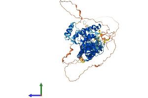 AlphaFold protein structure predicition of Human Recombinant LONRF3 Protein, UniprotID Q496Y0 (LONRF3 Protein (AA 1-759) (His tag))