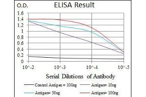 Black line: Control Antigen (100 ng), Purple line: Antigen(10 ng), Blue line: Antigen (50 ng), Red line: Antigen (100 ng), (TGFB1 antibody  (AA 62-195))