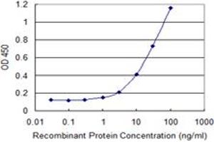 Detection limit for recombinant GST tagged POLR2J is 0. (POLR2J antibody  (AA 1-117))