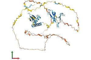 Protein Structure (PS) image for Splicing Factor 3a, Subunit 2, 66kDa (SF3A2) (AA 1-475) protein (His tag) (ABIN7557768)
