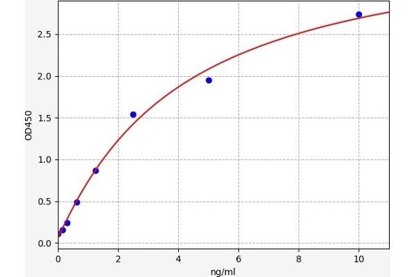 SLC6A3 ELISA Kit