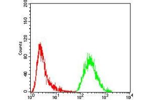 Flow cytometric analysis of A549 cells using GNAS mouse mAb (green) and negative control (red).