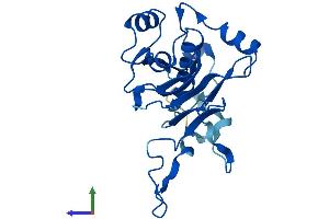 AlphaFold protein structure predicition of Human Recombinant GGTLC3 Protein, UniprotID B5MD39 (GGTLC3 Protein (AA 1-225) (His tag))