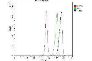 Flow Cytometry analysis of RAW264. (CD163 antibody  (AA 122-1039))
