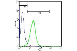 U937 cells probed with Rabbit Anti-CD40L Polyclonal Antibody (ABIN674439) at 1:100 for 40 minutes followed by incubation with Goat Anti-Rabbit IgG PE conjugated secondary  at 1:100 (green) for 40 minutes compared to control cells (blue). (CD40 Ligand antibody  (AA 31-150))