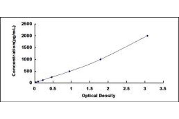 Cathepsin B ELISA Kit