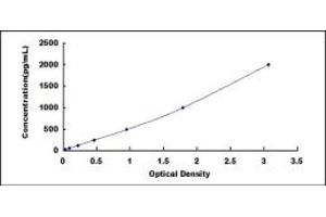 Typical standard curve (Cathepsin B ELISA Kit)