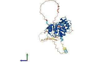 AlphaFold protein structure predicition of Human Recombinant LRRC42 Protein, UniprotID Q9Y546