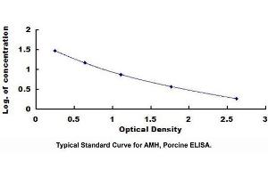 Typical standard curve (AMH ELISA Kit)