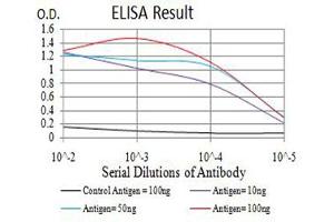 Black line: Control Antigen (100 ng),Purple line: Antigen (10 ng), Blue line: Antigen (50 ng), Red line:Antigen (100 ng) (RUNX1 antibody  (AA 237-337))