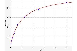 OGG1 ELISA Kit