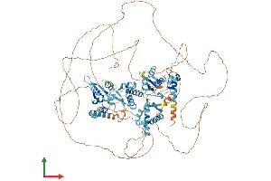 AlphaFold protein structure predicition of Human Recombinant MAGEE1 Protein, UniprotID Q9HCI5 (MAGEE1 Protein (AA 1-957) (His tag))