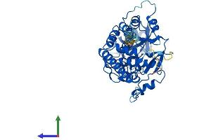 AlphaFold protein structure predicition of Human Recombinant FAM20B Protein, UniprotID O75063 (FAM20B Protein (AA 1-409) (His tag))
