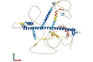 Protein Structure (PS) image for Nuclear Factor (erythroid-Derived 2)-Like 2 (NFE2L2) (AA 1-597) protein (His tag) (ABIN7557618)