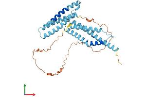 AlphaFold protein structure predicition of Human Recombinant EVPLL Protein, UniprotID A8MZ36 (Envoplakin-Like Protein (EVPLL) (AA 1-301) (His tag))